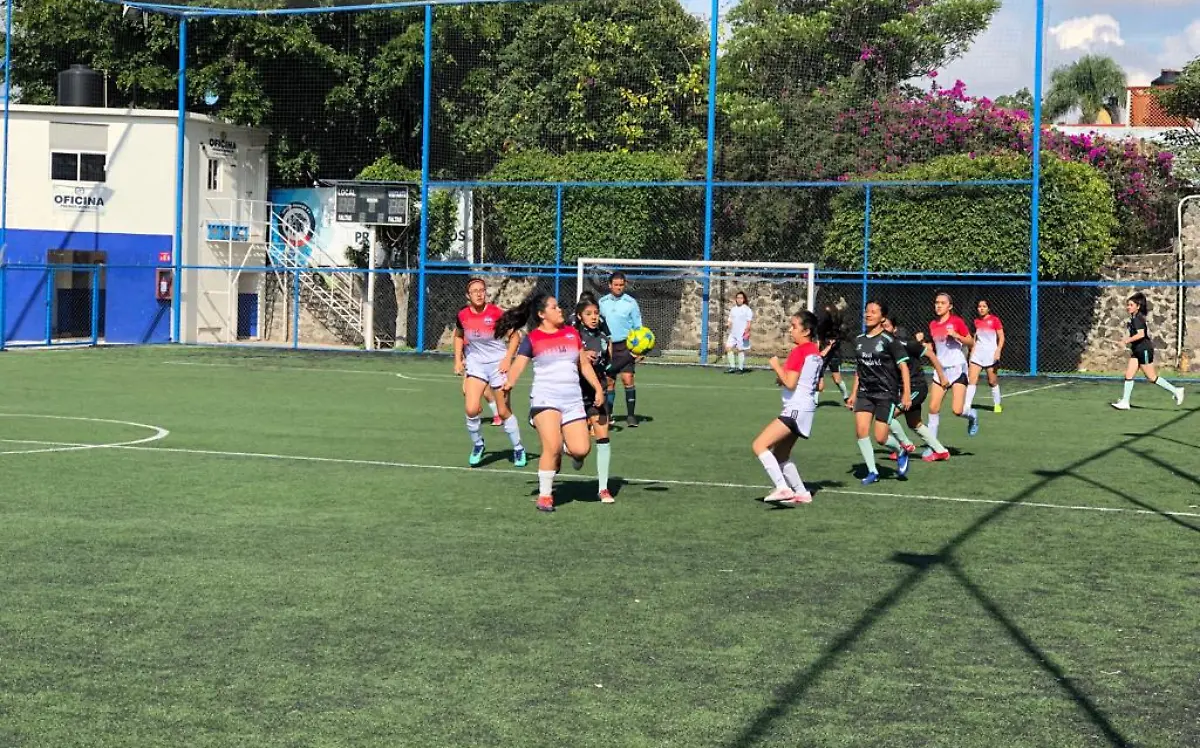 Participan cuatro escuelas públicas y cuatro colegios particularesROGER MIXCOAC